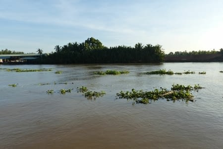 Aurevoir Dame Nature - SGN / CDG