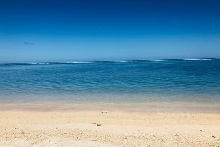 Dernière journée sur l'île, l'anniversaire de Thomas