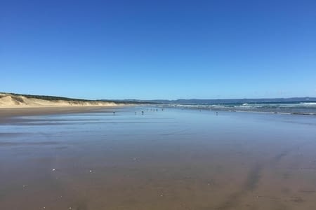 Île du Nord (du 8/02 au 19/03)