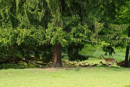 De Slovenska Bistrica à Podgorje