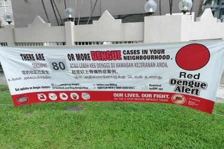 De retour à Singapour