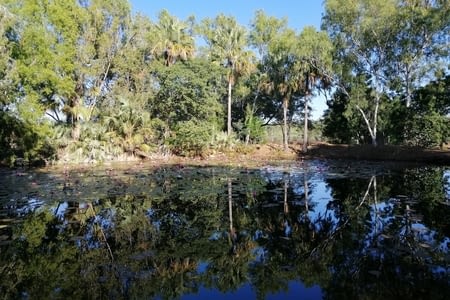 Des sources de Mataranka au village fantôme de Newcastle Waters
