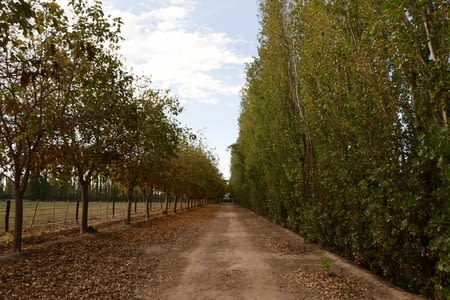 Expérience de Workaway / Workaway experience