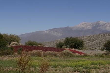 Road trip - Part 2 : Payogasta-Cafayate