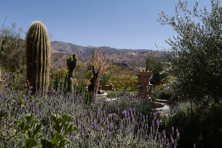 Road trip - Part 6 : Huacalera-El Hornocal-Huacalera