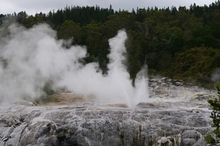 Rotorua - Jour 3 - Te Puia et Hell's Gate