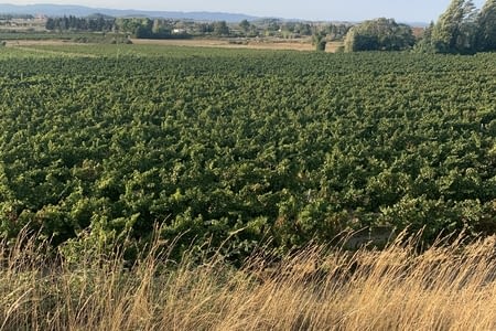 La Tamarissière Colombiers