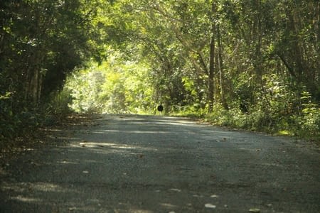 Jours 11&12 : Xpujil