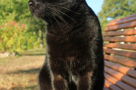 Enfin les vacances!!!