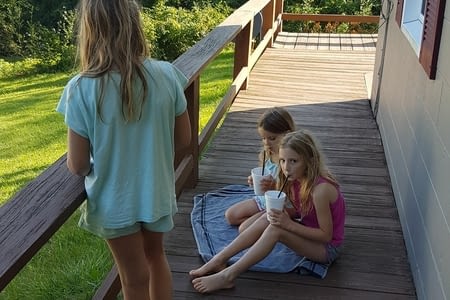 De Waynesboro à Washington