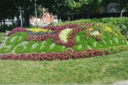 "Excusez-moi, est ce que vous vendez de la pate feuilletée ?"