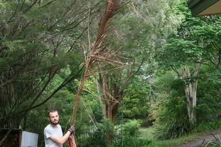 3 mois en Australie !