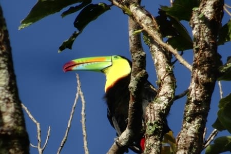Arrivée en terre volcanique