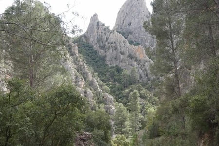 Los Cuchillos de Contrera