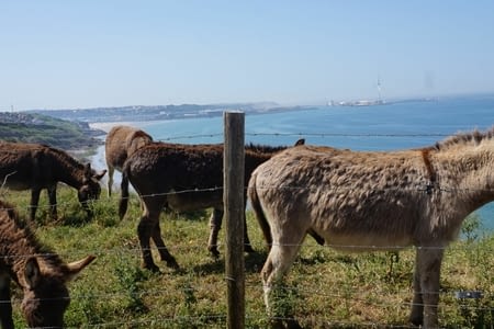 Wimereux