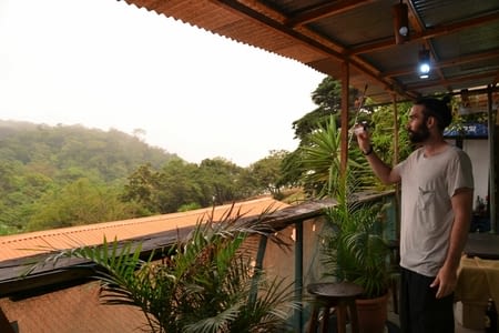 Végétation luxuriante et étonnante à Monteverde