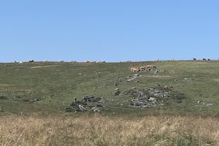 Rando en Aubrac
