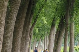 Nous profitons du calme des pistes cyclables