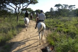 1ère sortie à cheval