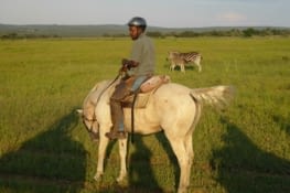 Sylar devant une famille de zèbre