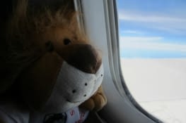 Aldebert survole l'océan atlantique