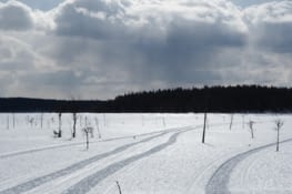 Les traces de moto neige sous le soleil de Laponie
