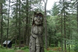 Des trolls de bois rencontrés lors de notre randonnée au dessus de Bergen