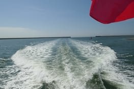 Stéphanie & Virginie