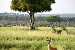 En route pour le lodge