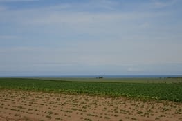 La campagne. La kamparo.