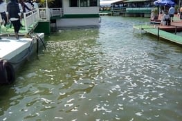 Le restaurant était magnifique!
