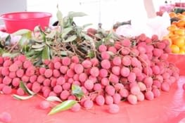Les litchis du marché de Saint Paul