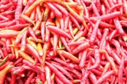 Les piments du marché