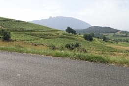 Vue sur la dent du chat depuis les vignes de Jongieux