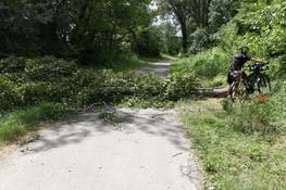 La tempête de la veille a laissé des traces
