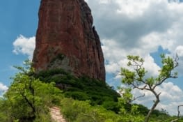 La dent vu de plus près