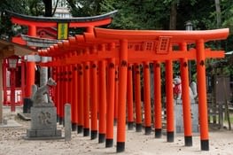 Cheminement de torii