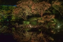 Illuminations des feuilles d'automne