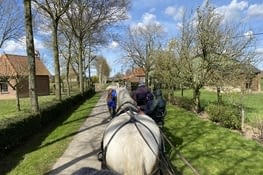 Un tour en calèche.