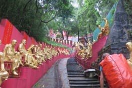 Les escaliers qui mènent au temple des 10000 bouddhas. Bon, c'est du plastique.