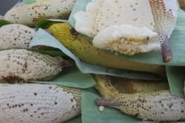 Des nids d'abeilles à vendre dans un petit marché, avec larves, nymphes, miel et pollen. Un peu surprenant au début,  c'est en fait délicieux.