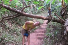 La vilaine branche! Laure lui a fait un coup de boule, la branche a gagné.