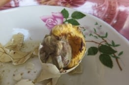 Problème gastronomique egalement: les oeufs sont vendus cuits mais à moitié couvés. Trop mignon au petit déjeuner.