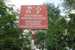 Le joueur de flute traversiere (Charlotte ?) fait danser son copain ?