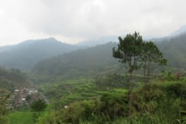 Rizieres decouvertes par hasard, inscrites au patrimoine de l'unesco, et point de depart de notre rando.