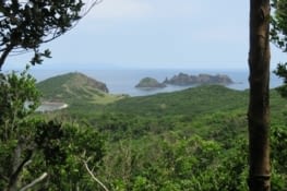 'Dos hermanas'. Le philippin, c'est un mix espagnol, portugais, hollandais, et ancienne langue du coin.