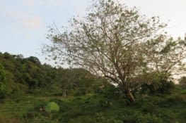 Un petit coin de Normandie, non?