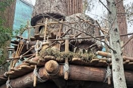 Univers Star Wars à Studios