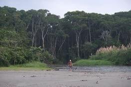La plage de sable noir Playa GRANDE au nord de Cahuita