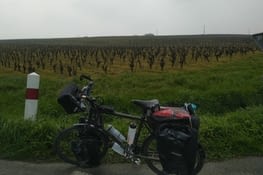 Le p'tit bici devant les vignes de Muscadet (44)